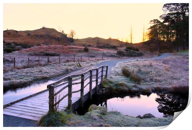 Into the Sunrise: Tarn Hows Lake District Print by Tim Hill