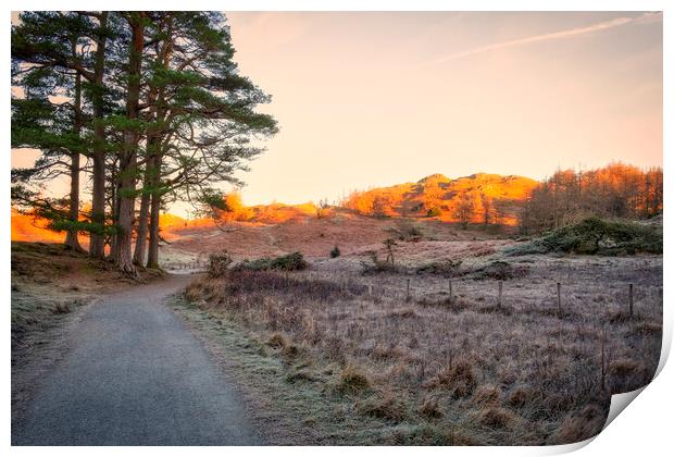 November Sunlight: Tarn Hows Lake District Print by Tim Hill