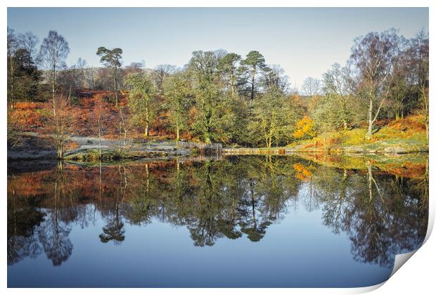 Tarn Hows Reflections Print by Tim Hill