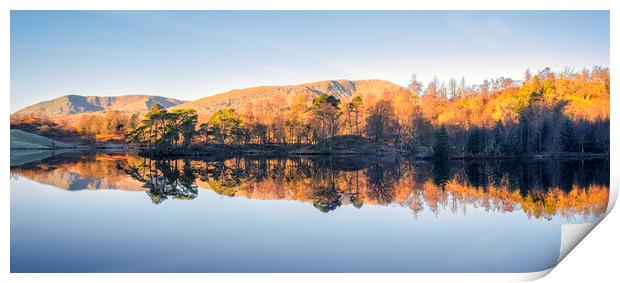 Tarn Hows Reflections Panoramic Print by Tim Hill