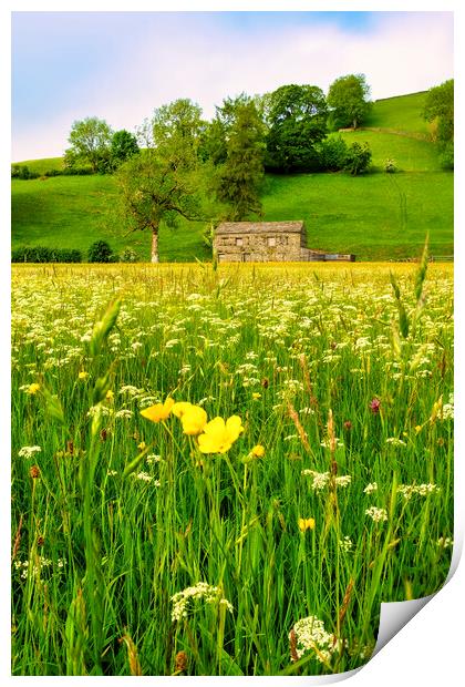 Muker Wildflower Meadow Yorkshire Dales Print by Tim Hill