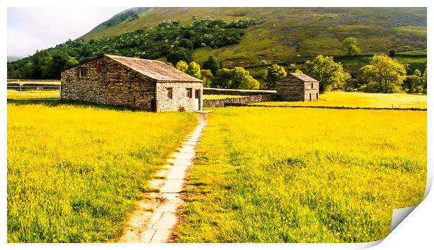 Muker Wildflower Meadows Yorkshire Dales Print by Tim Hill