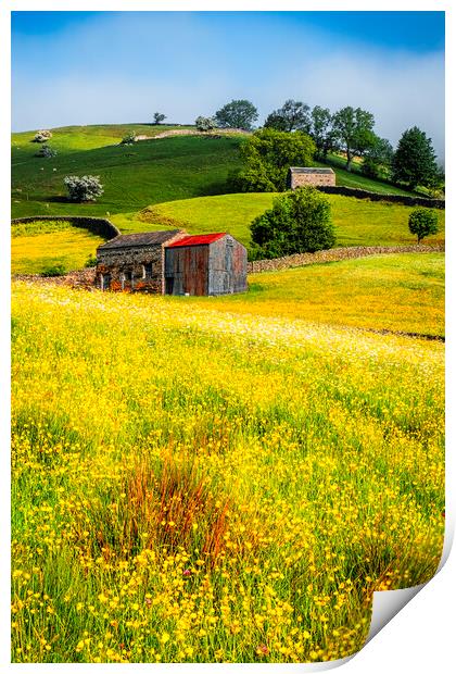 Muker Flower Meadows Yorkshire Print by Tim Hill