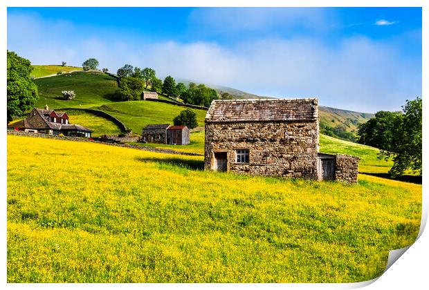 Muker Wildflower Meadows Yorkshire Print by Tim Hill