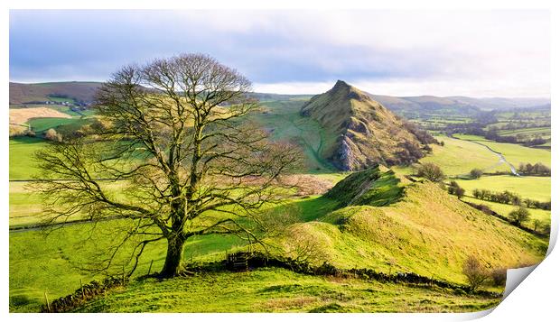 Chrome Hill Lone Tree ~ Derbyshire Peak District Print by Tim Hill
