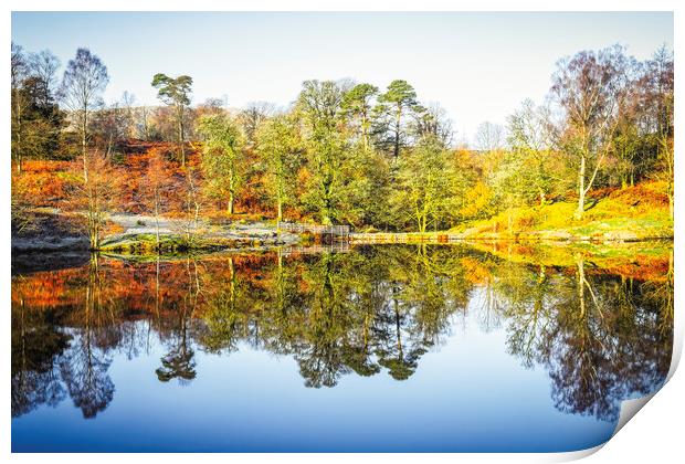 Tarn Hows Autumn Reflections Print by Tim Hill
