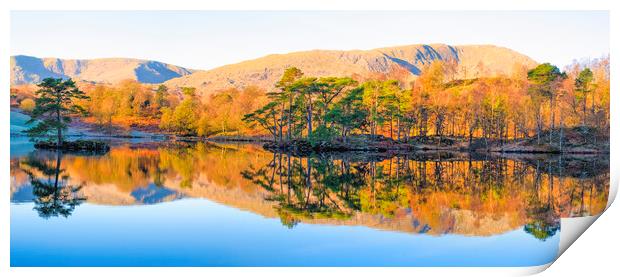 Tarn Hows Reflections Panoramic Print by Tim Hill