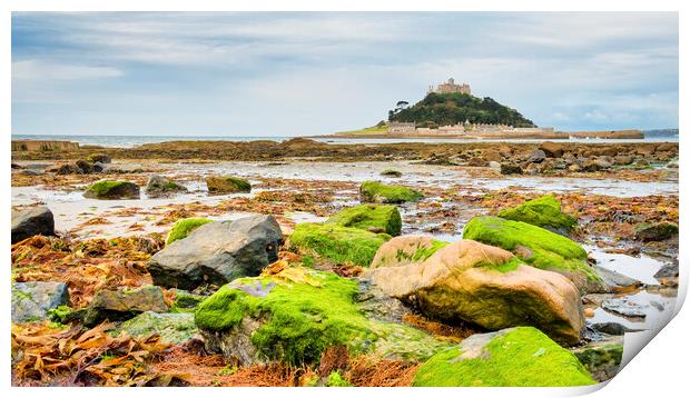 St Michael's Mount Cornwall Print by Tim Hill