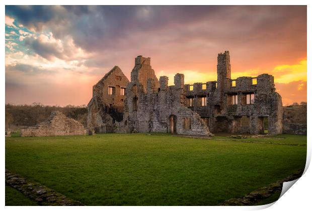 Egglestone Abbey at Barnard Castle Print by Tim Hill