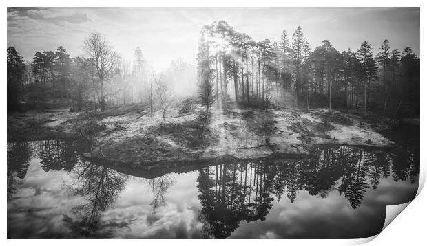 Misty Sunrise Tarn Hows Print by Tim Hill