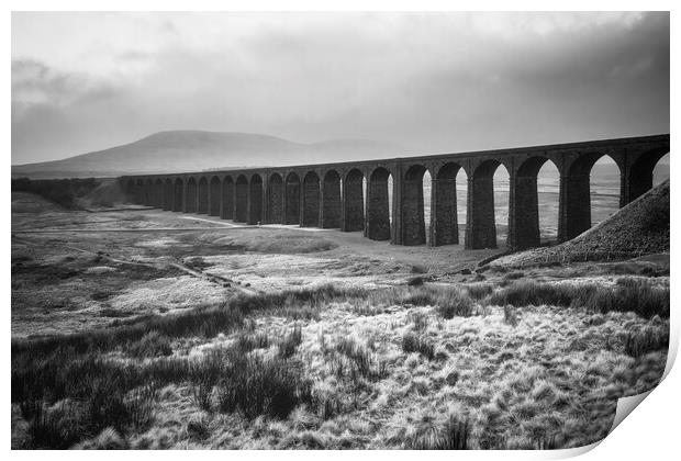 Ribblehead Viaduct Monochrome Print by Tim Hill