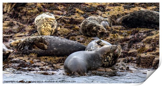 Friendly discussion Print by Peter Bardsley