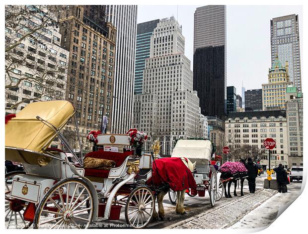 New York horse and carriage Print by Martin fenton