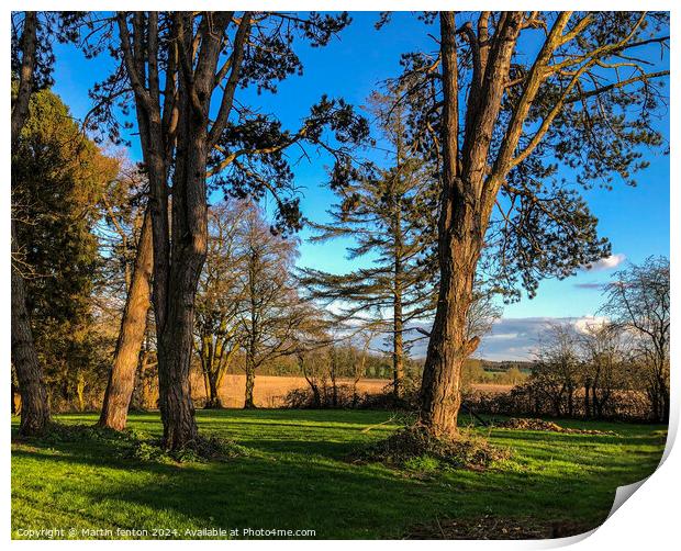 Cotswolds trees and fields Print by Martin fenton