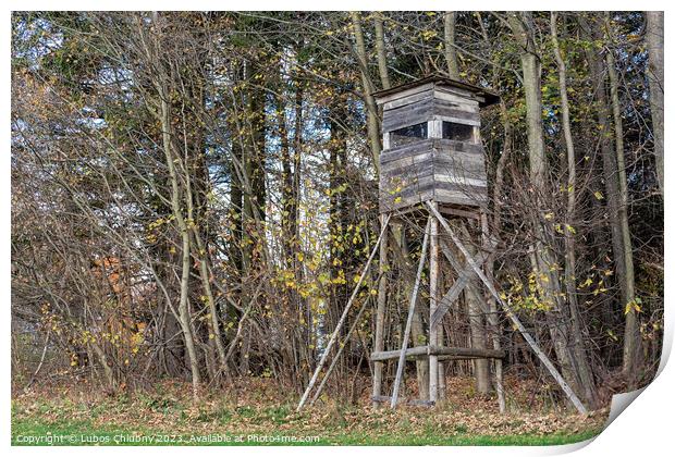 Wooden lookout tower for hunting in the woods and on meadow Print by Lubos Chlubny
