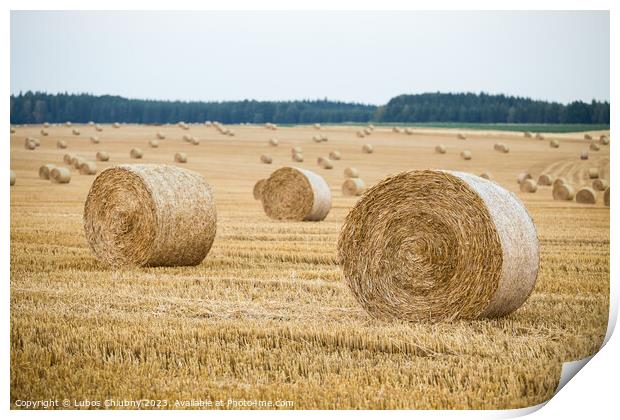 Hay bales on the field after harvest Print by Lubos Chlubny