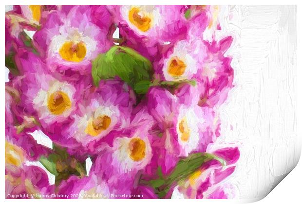 Oil painting pink dendrobium orchid flowers Print by Lubos Chlubny