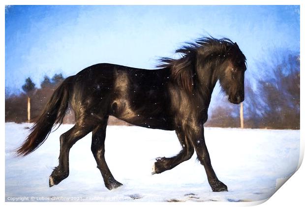 Oil painting foal Friesian horse running in the snow Print by Lubos Chlubny