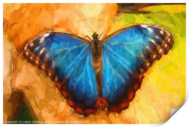 Oil painting blue butterfly Print by Lubos Chlubny