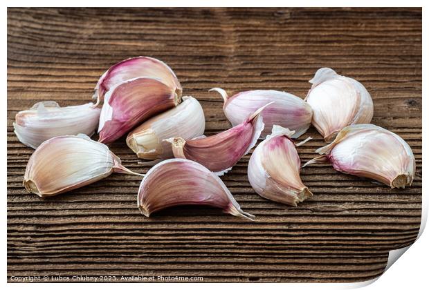 Garlic on dark rustic wooden background. Print by Lubos Chlubny