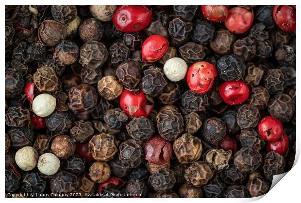 Mixed peppercorns background. Different colored peppercorns Print by Lubos Chlubny