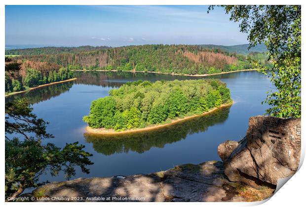 Lake and island with trees. Water reservoir Sec, Czech Republic, Europe Print by Lubos Chlubny