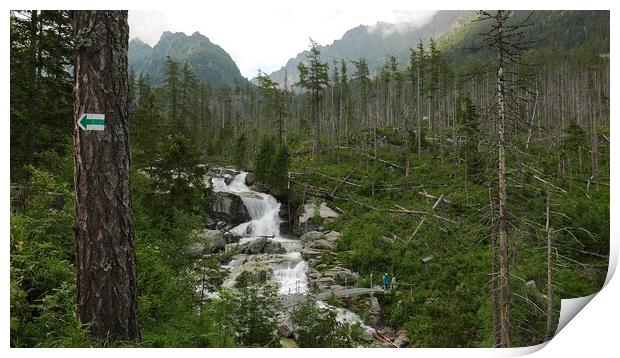 Scenic view of waterfall in forest, High Tatras, Slovakia Print by Irena Chlubna