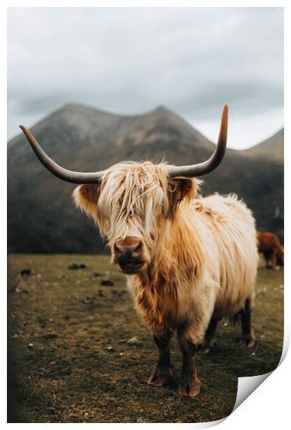 Highland Cow on the Isle of Skye Print by Jay Huxtable