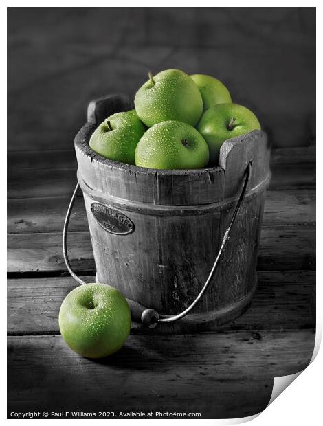 Delicious Apples Fresh Picked green Granny Smith apples in a Woo Print by Paul E Williams