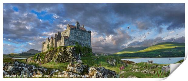 The Dramatic Wild Picturesque Duart Castle Isle of Mull Print by Paul E Williams