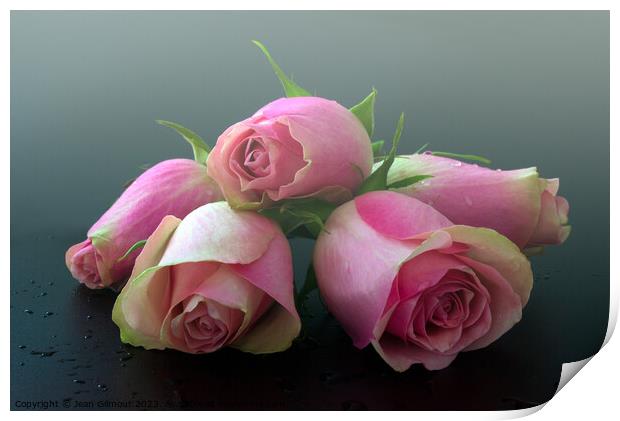 Dreamy pink roses Print by Jean Gilmour