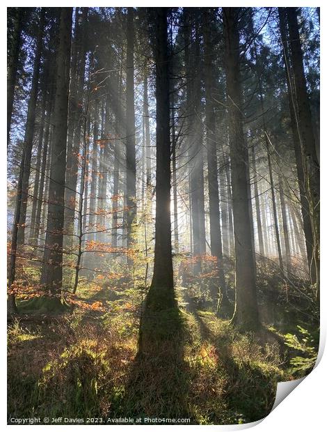Dawn's Embrace in Llanwonno Forest Print by Jeff Davies