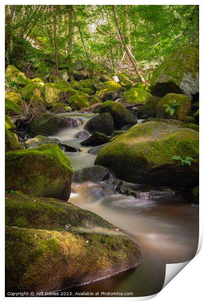 Padley Gorge's Serene Waterscape Print by Jeff Davies