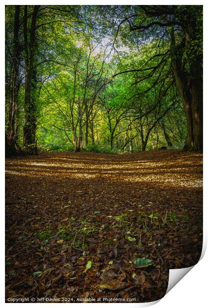 The forest floor Print by Jeff Davies