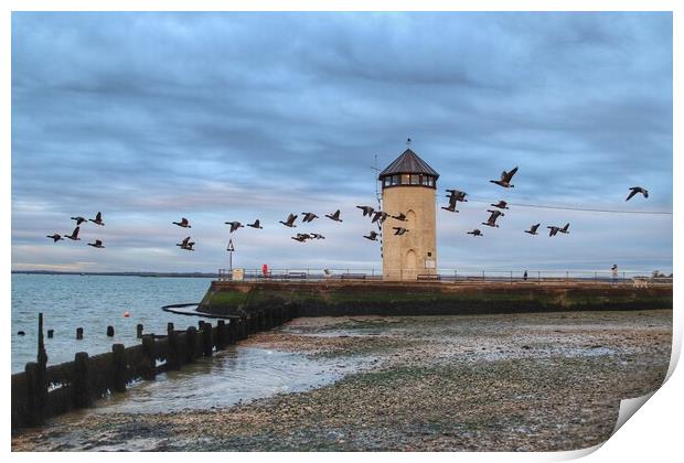 Fly past across Batemans tower Brightlingsea  Print by Tony lopez