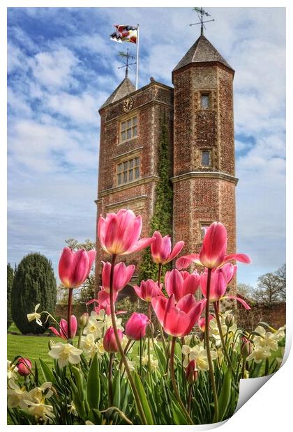 Sissinghurst castle tulips on a sunny day  Print by Tony lopez