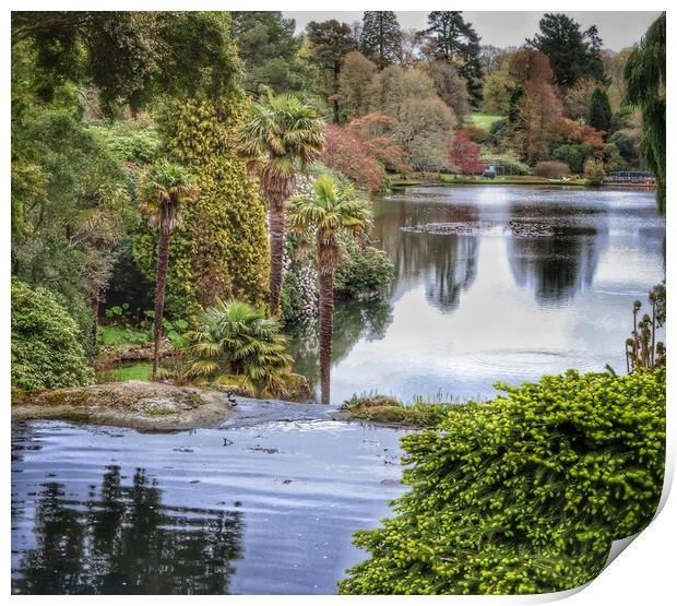 Scenic Views across the lake at Sheffield Park sussex  Print by Tony lopez