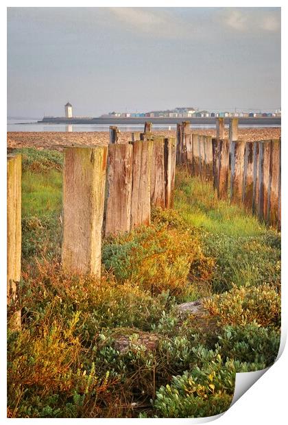 Views over point clear to Brightlingsea  Print by Tony lopez