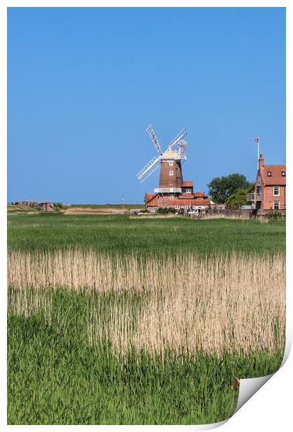Cley windmill in the afternoon sun in  norfolk  Print by Tony lopez