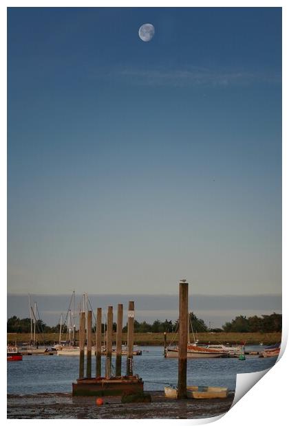 Moon down over the Brightlingsea Hard  in essex  Print by Tony lopez