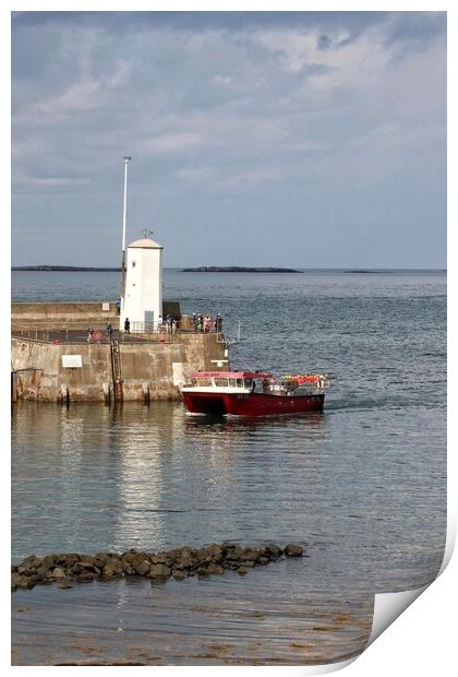 Home at the end oh the day to Seahouses Harbour  Print by Tony lopez
