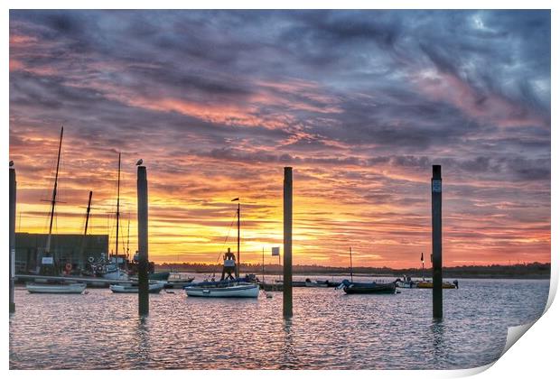 Sunrise colour over Brightlingsea Harbour  Print by Tony lopez