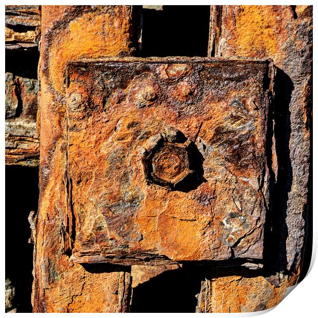 Rusty Bolt, New Quay, Wales Print by Kevin Howchin