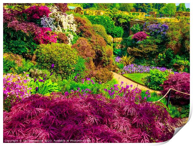 Hever Castle Gardens Print by Ian Donaldson