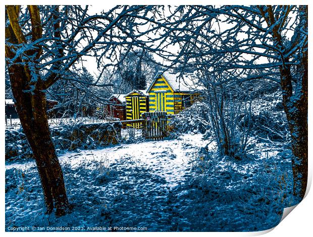   Winter Orchard Print by Ian Donaldson