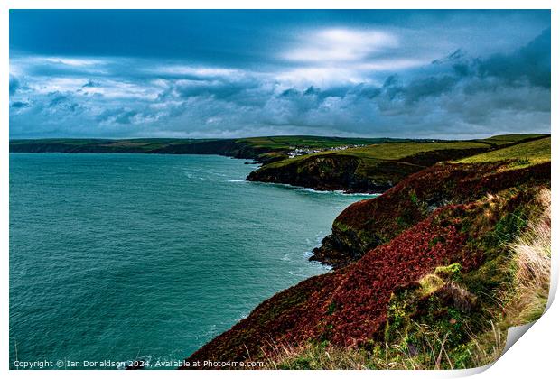 Cornish View Print by Ian Donaldson