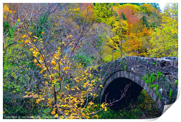 Autumn Bridge Print by Ian Donaldson