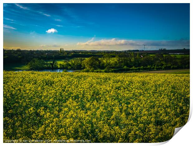 Rapeseed Fields Print by Ian Donaldson