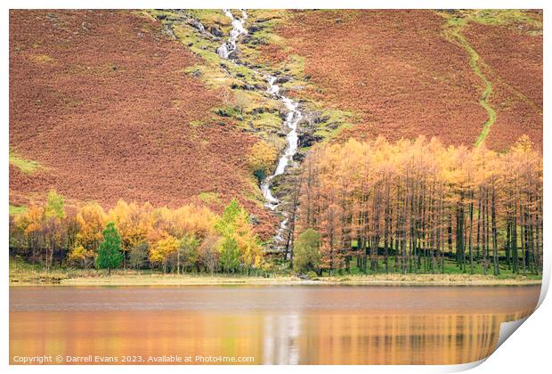 Stream running into Buttermere Print by Darrell Evans