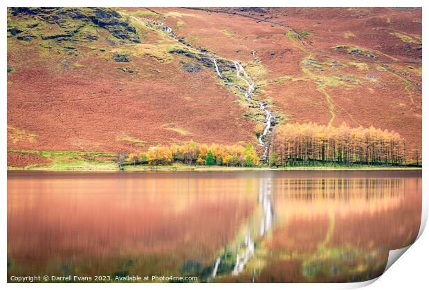 Autumn on Buttermere Print by Darrell Evans